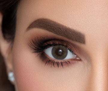 رمادي الحمامة